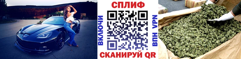Купить закладки  Дигора  МАРИХУАНА сатива 